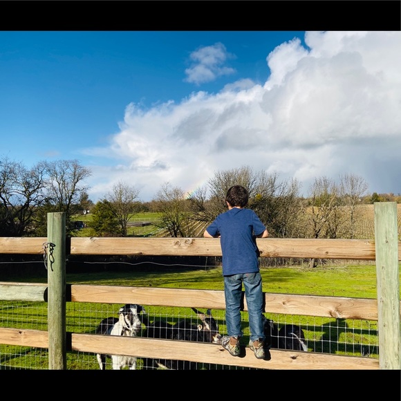 Meet your Posher, Arika - Picture 2 of 2